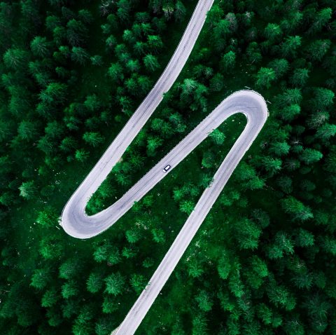 Route in the middle of the forest